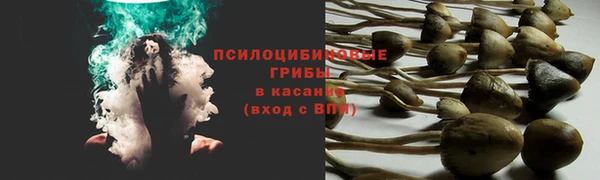 дживик Арсеньев