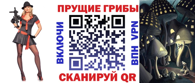 Галлюциногенные грибы Cubensis  закладки  Спасск-Рязанский 